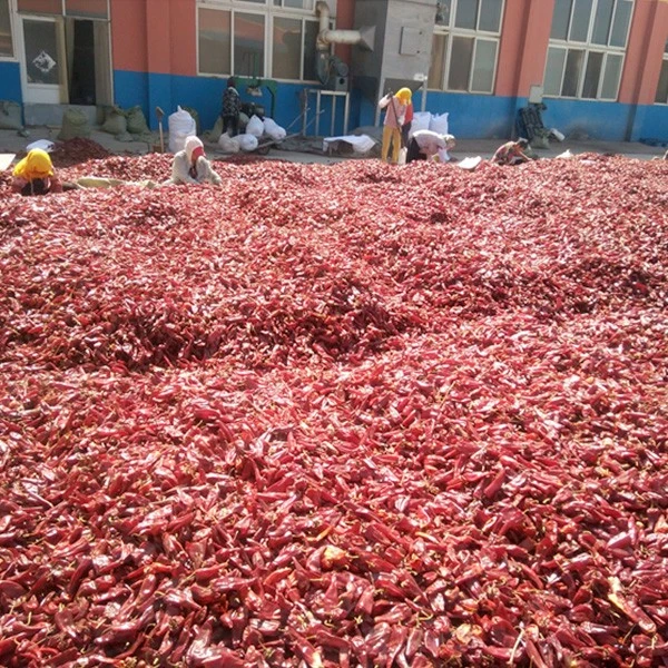 Dry Red Chilli Pepper 2021 high quality
