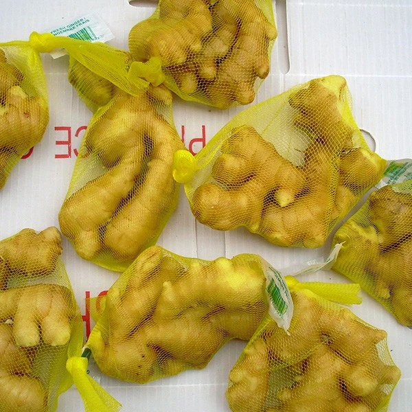 Fresh New Crop Ginger best
