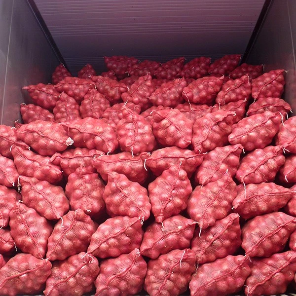Fresh New Crop Red Onion best