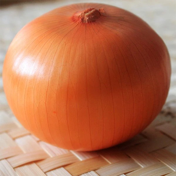 Fresh Orgnic 20kg Packing Yellow Onion suppliers