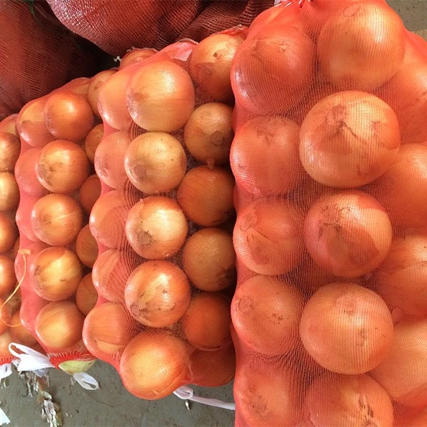 Fresh Orgnic 20kg Packing Yellow Onion best