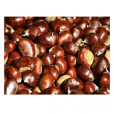 Fre òganik chesnut may sak